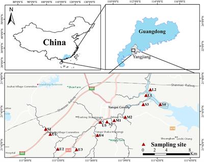 Profiles and spatial distributions of heavy metals, microbial communities, and metal resistance genes in sediments from an urban river